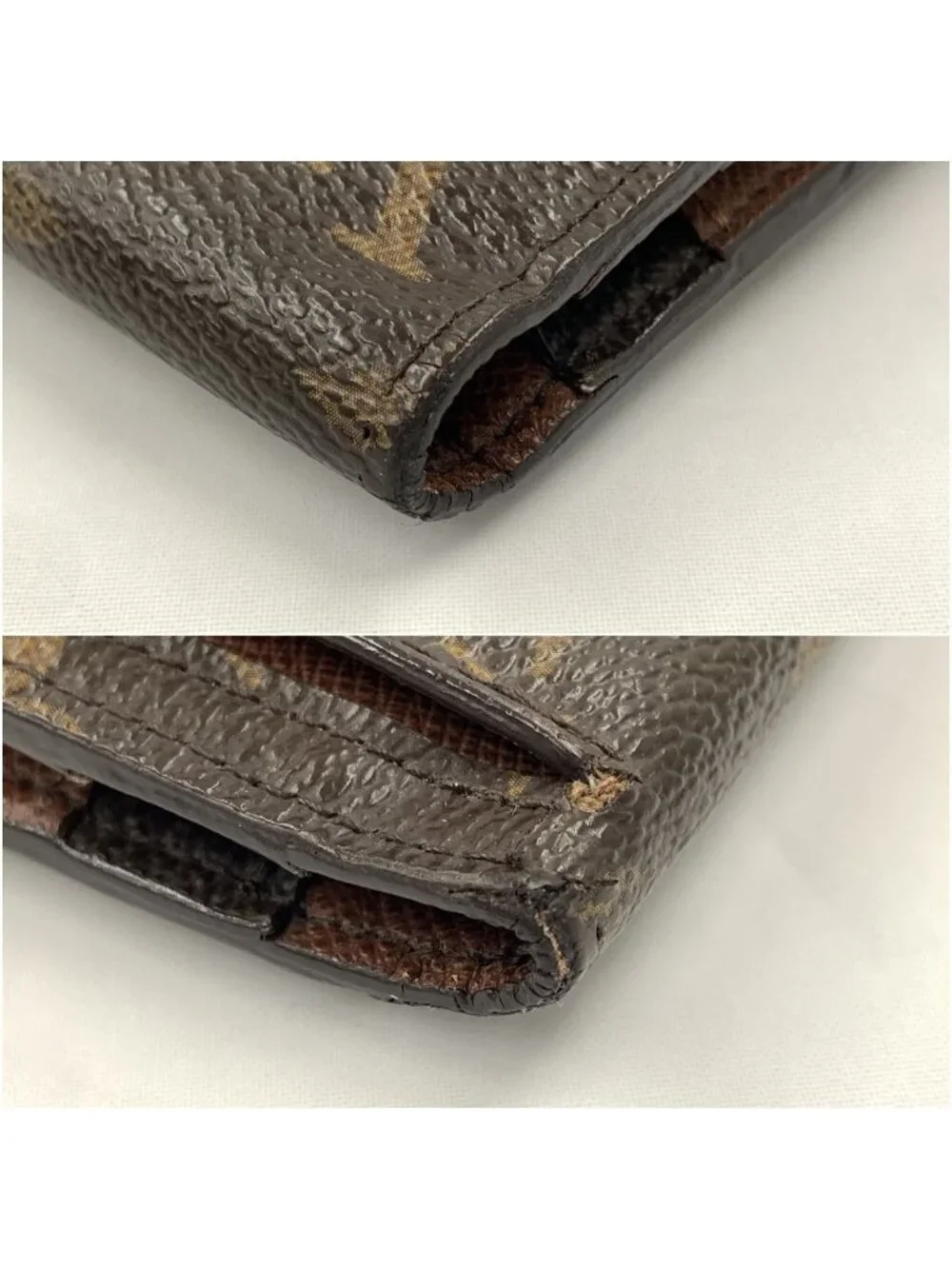 Louis Vuitton use pet